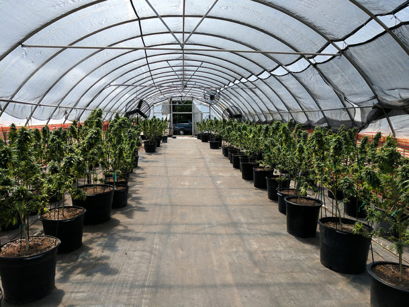 Gallery Zimmerman's High Tunnels & Greenhouses