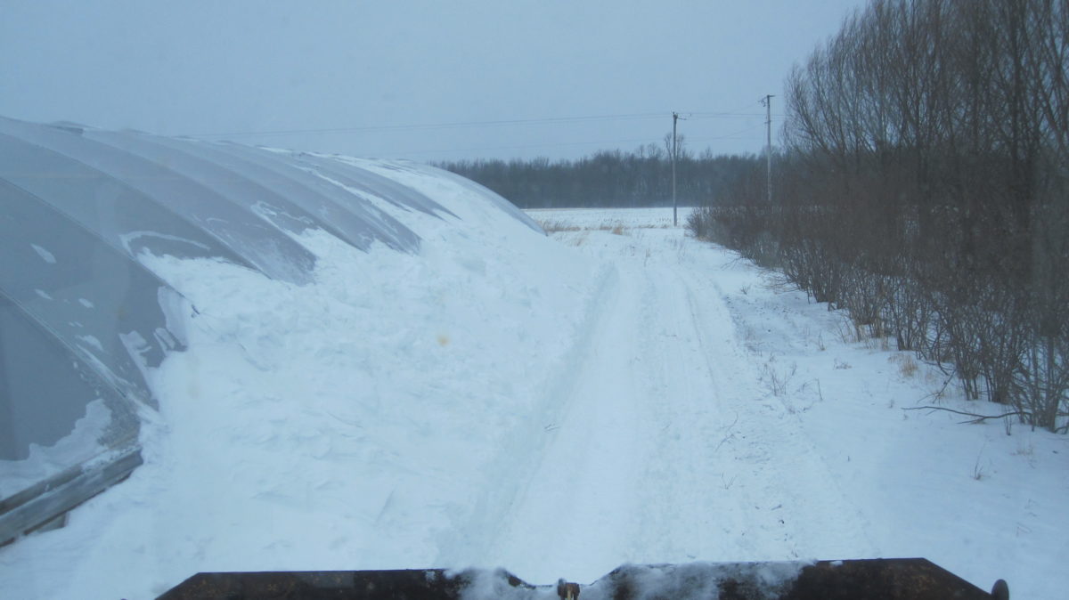 Gallery Zimmerman's High Tunnels & Greenhouses